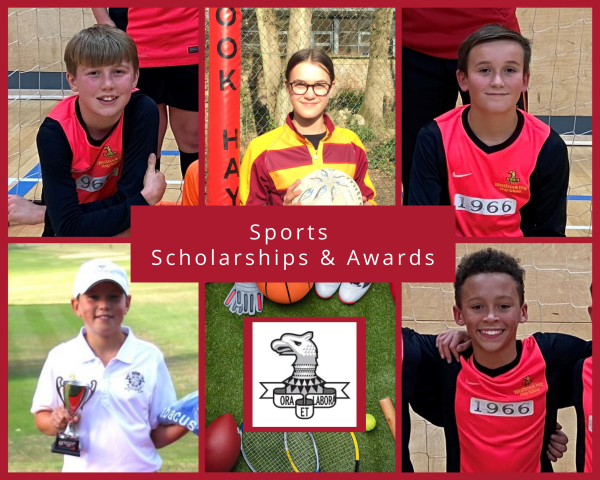Sports Scholarships - Galore!