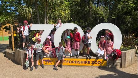 Year 3 had a wild time at Hertfordshire Zoo! 