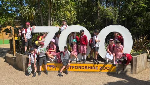Year 3 had a wild time at Hertfordshire Zoo! 