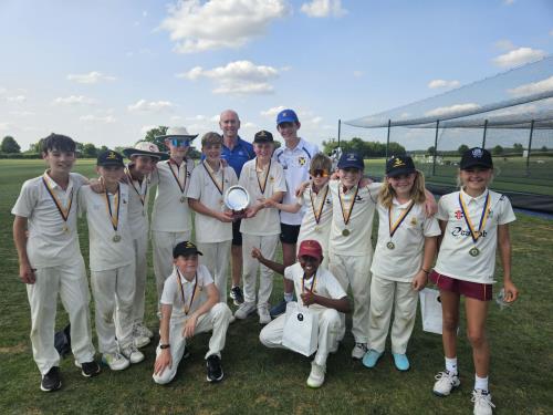 St Albans Cricket Festival 