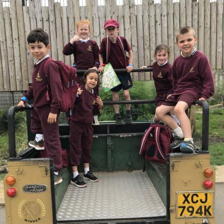 Year 3 trip to Herts Zoo